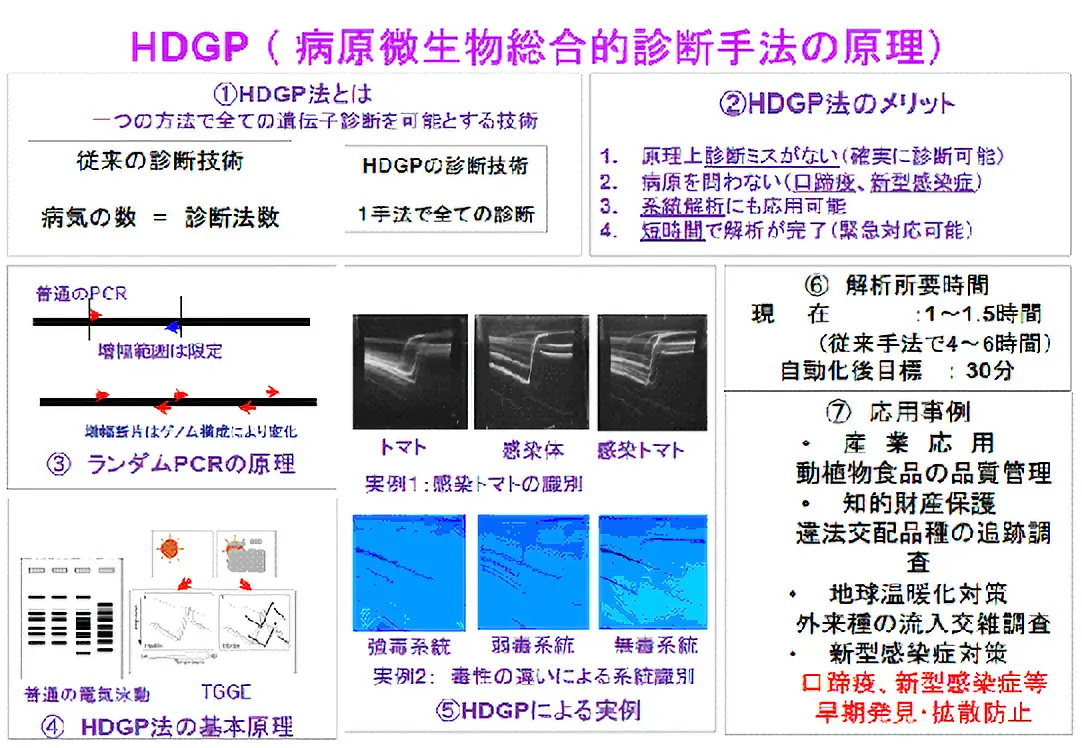 HDGP（病原微生物総合的診断手法の原理) 図